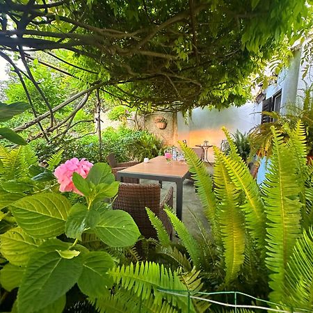 Apartment Renata Veli Lošinj 外观 照片