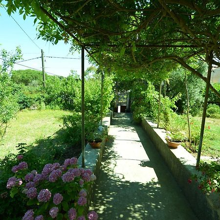 Apartment Renata Veli Lošinj 外观 照片