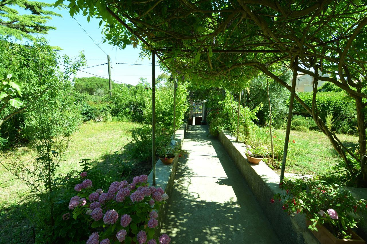 Apartment Renata Veli Lošinj 外观 照片